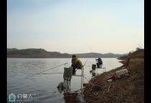 炎热夏季野钓底层鱼的技巧