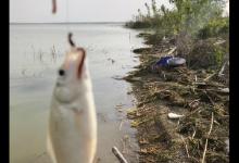 有人说“黑漂正口中死鱼，劝你收竿别犹豫”，到底是怎么回事？