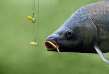 调高钓低还是调低钓高？一个简单判断方法，以浮漂吃铅量来决定