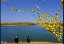 春钓技巧之掌握钓鱼的最佳时期