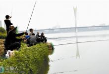 暮春钓鱼的实用小技巧全解析