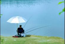 新手钓鱼掌握这三个看漂提竿技巧会少走很多弯路，建议收藏