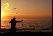 初夏五月的钓法以及钓鱼技巧