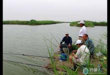 夏季钓鱼应根据鱼情改变钓时和钓点方可