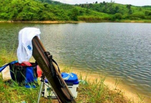 盛夏季节钓鱼，鱼不开口怎么办？使用这四个小技巧能轻松搞定