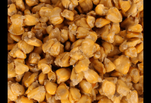 老坛玉米的2种新用法，诱钓效果更好，你确定不来试试？