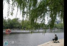 春季垂钓要随着节气变化随时改变钓法