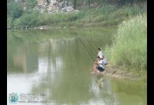 初夏如何垂钓落水鱼_落水时节的钓鱼技巧