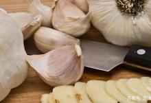 大蒜到底能不能钓住鱼？看完此文后不用再争论了！