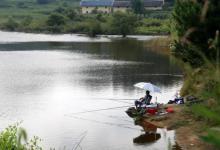 快速穿过小鱼层，直击底部大鱼，想着都美，可现实情况并非如此