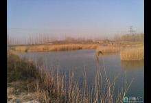 冬季钓鱼的十大误区详解