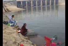 常说“大鱼怕老头”，这些大爷的钓法有多少值得我们借鉴？