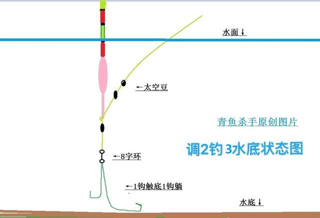 青鱼灵顿钓法图解图片