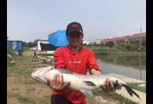 黑坑青鱼脱钩跑鱼的现象时有发生，原因有四点