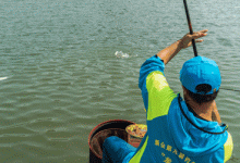 鲫鱼漂相形成的原因，以及提竿空竿的原因