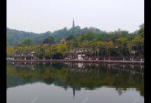 全方位谈钓鳊鱼的见解与体会，助你钓获大鳊鱼