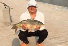 仲春鲤鱼如何钓？因地制宜分析鱼情从水深钓法入手