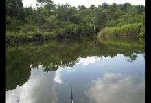 土鲮为什么让钓鱼人迷恋？根据土鲮的生活方式钓土鲮