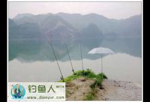 夏季钓鱼之白天钓红鮹夜晚钓黄颡详细分析