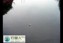 秋季钓鱼钓位、钓组、饵料、技巧的变化详细分析