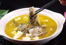 钓黄辣丁掌握好三个时机，四种钓法，一项注意