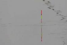 野钓调三钓三还是调平水钓二好？