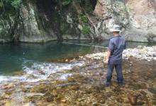 天气开始转暖，此时如何钓鲫鱼