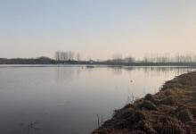 2020第一钓，浅滩作钓板鲫，经验总结