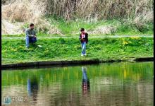 春季钓鲫鱼，不可多得的技巧