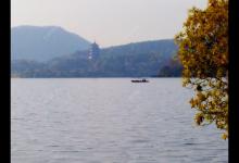 有效钓鲫鱼的3个办法，做窝补窝和调钓，和应对技巧