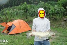 夏钓的六戒与四绝招祝你钓大鱼