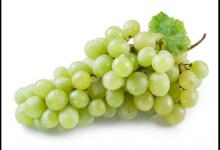 葡萄钓草鱼效果为什么这么好，因为这几点原因