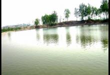 垂钓鲤鱼，用好这些套路，你会发现钓鱼很简单