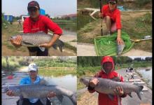 撑握用子线长度、钩距与调钓的关系，是钓获青鱼的关键