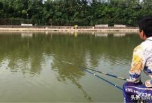 深入了解水深对鱼情的影响，详细释义它们间的关系