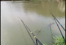 钓昂刺鱼就该钓钝？换个角度看待调漂问题吧