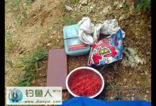 秋季是钓鲤鱼的好季节要掌握技巧详细分析