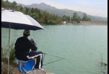 水底有鲫鱼，为啥不吃钩