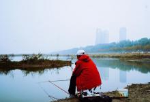 为何咬钩的都是小鲤鱼？是钓法不对，大鲤要有针对性