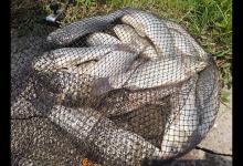 掌握这些作钓技巧，想钓大鲫鱼也没想象的那么难！