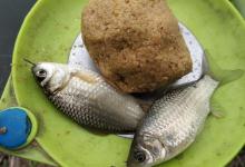 野河短竿抽钓，拉饵离底滑钓鲫鱼，30多条鲫鱼连竿咬钩