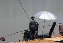 野钓时水太肥，怎么钓鲫鱼？一起来学学