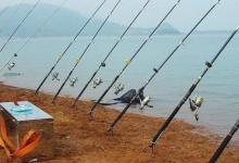 秋钓鲤鱼别整天用手竿了，换用这新型钓法霸气