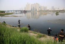 野钓鲫鱼有哪些捷径可走？