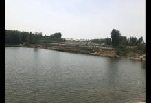 水库常有大青鱼，解析水库野钓青鱼4大技巧