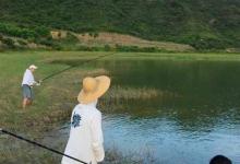 征服草鱼我只服这手绝活，一根竿都钓不过来