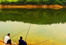 晚秋鲤鱼的三个常用老套路，助你轻松钓到大鲤鱼