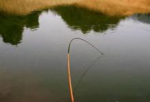 钓鱼人中流传一种自欺欺人的钓法，你中枪了吗？