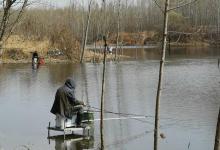 分享几条钓鲫鱼定律，掌握这些不愁钓不到鱼