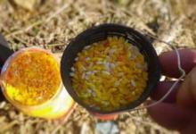 诱钓大板鲫还得用这狠招，试一试便知真假